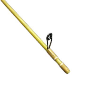 fenwick FS49SUL-4J ウォーターシェッドCR
