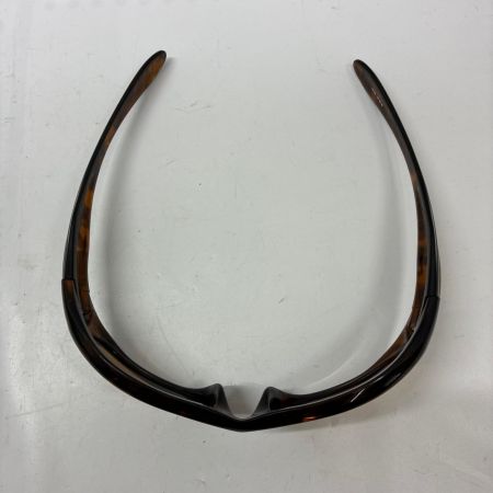 OAKLEY オークリー 偏光サングラス モンスタードッグ 05-013