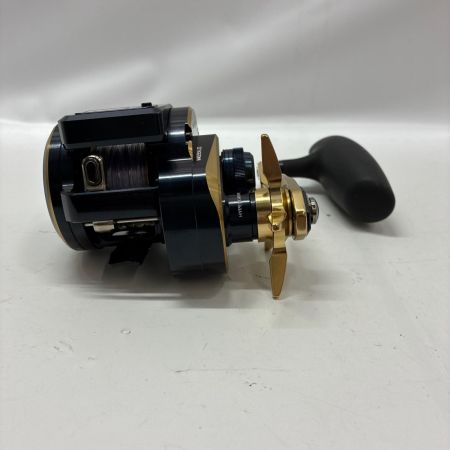 DAIWA ダイワ ベイトリール 21ソルティガIC 300HL-S 00631507 (034732)