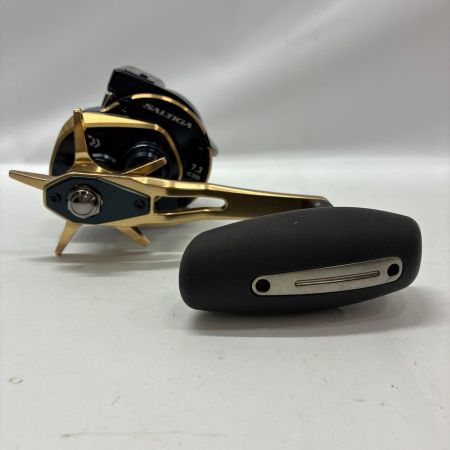 DAIWA ダイワ ベイトリール 21ソルティガIC 300HL-S 00631507 (034732)