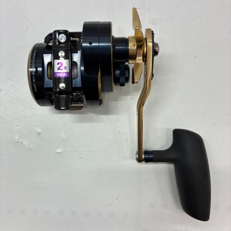 DAIWA ダイワ ベイトリール 21ソルティガIC 300HL-S 00631507 (034732)