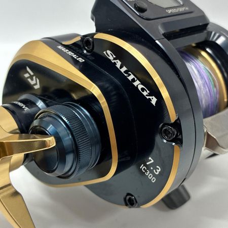 DAIWA ダイワ ベイトリール 21ソルティガIC 300HL-S 00631507 (034732)