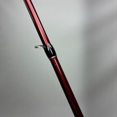 Fishman フィッシュマン ビームス ブランシエラ4.8UL 10th Anniversary刻印有り