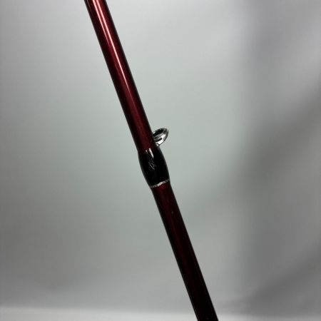 Fishman フィッシュマン ビームス ブランシエラ4.8UL 10th Anniversary刻印有り