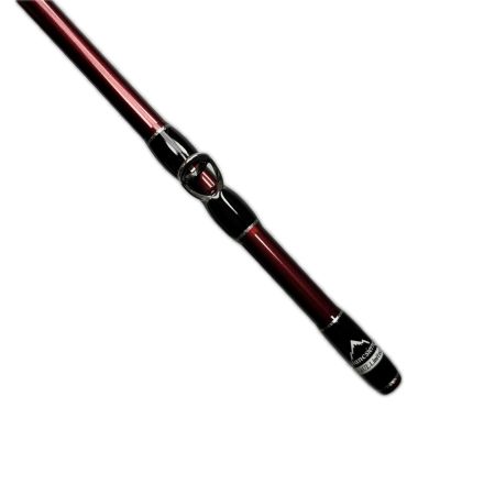 Fishman フィッシュマン ビームス ブランシエラ4.8UL 10th Anniversary刻印有り