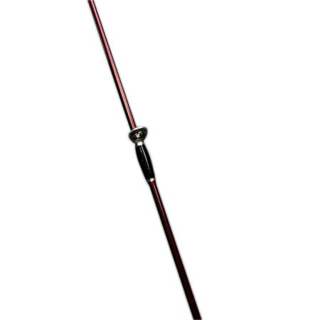 Fishman フィッシュマン ビームス ブランシエラ4.8UL 10th Anniversary刻印有り