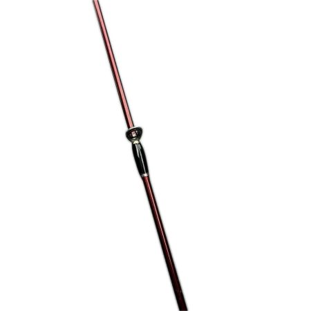 Fishman フィッシュマン ビームス ブランシエラ4.8UL 10th Anniversary刻印有り