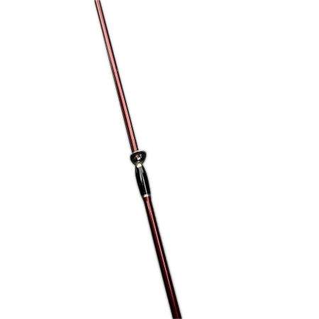 Fishman フィッシュマン ビームス ブランシエラ4.8UL 10th Anniversary刻印有り