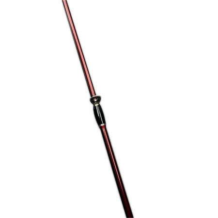 Fishman フィッシュマン ビームス ブランシエラ4.8UL 10th Anniversary刻印有り