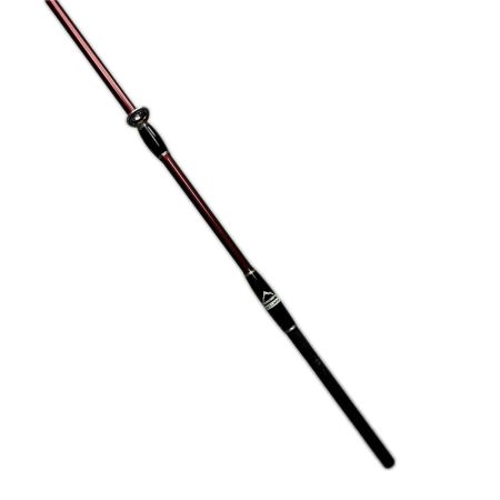 Fishman フィッシュマン ビームス ブランシエラ4.8UL 10th Anniversary刻印有り