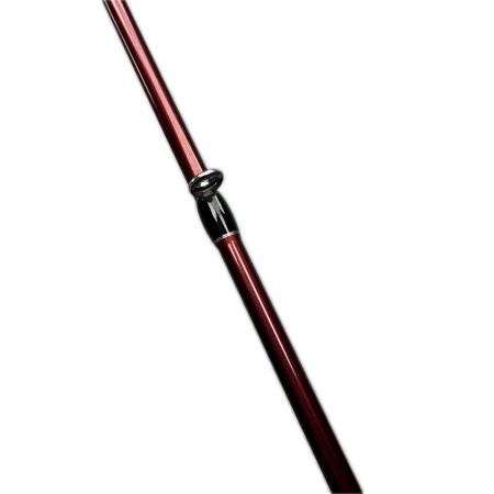 Fishman フィッシュマン ビームス ブランシエラ4.8UL 10th Anniversary刻印有り