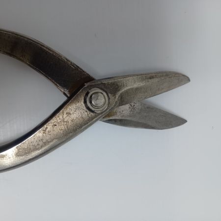 SLD 程度B　金切鋏 種光