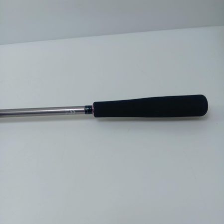 DAIWA ダイワ ルアーロッド DAIWA 05805577 紅牙 AIR TYPE-D 70HB THRILL 05805577