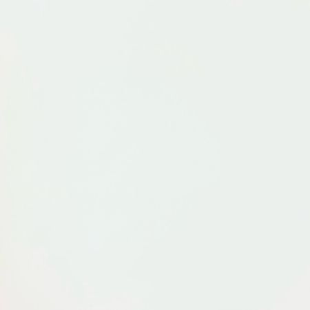 SHIMANO シマノ ベイトリール グラップラープレミアム 150XG 03898