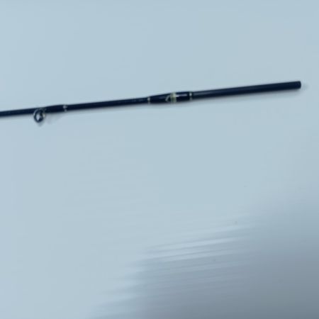 Fishman フィッシュマン  BEAMS blancsierra 4.8UL 美品 程度A 袋付