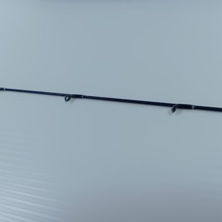 Fishman フィッシュマン  BEAMS blancsierra 4.8UL 美品 程度A 袋付