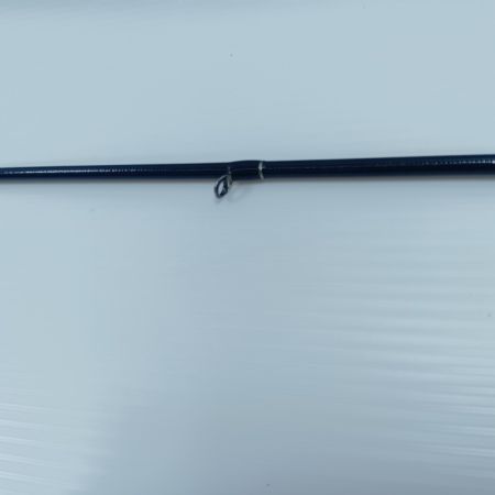 Fishman フィッシュマン  BEAMS blancsierra 4.8UL 美品 程度A 袋付