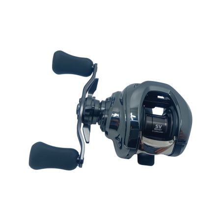 DAIWA ダイワ 24STEEZ SV TW 100HL 344329