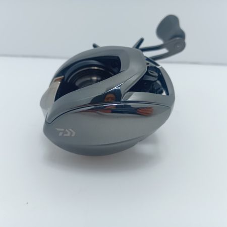 DAIWA ダイワ 24STEEZ SV TW 100HL 344329