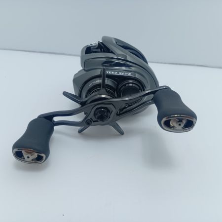 DAIWA ダイワ 24STEEZ SV TW 100HL 344329