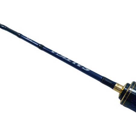 DAIWA ダイワ ジギングロッド ソルティガ LJ 62XHB TG 05805545