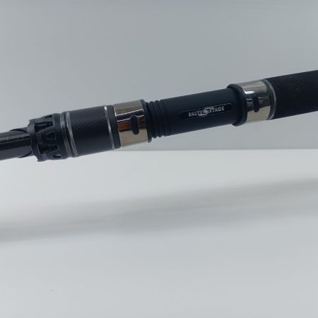Abu Garcia アブガルシア シーバスロッド  ソルティーステージ