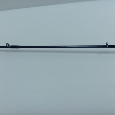 DAIWA ダイワ  ルアーロッド 05803135