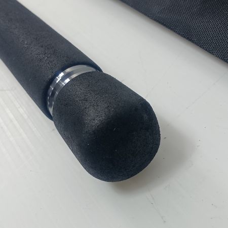 DAIWA ダイワ シーバスロッド ラテオ FJ103ML 01474639