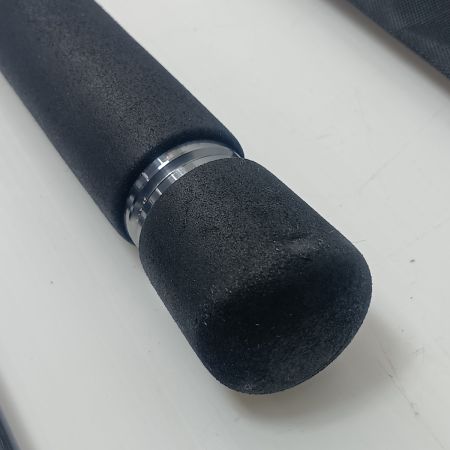 DAIWA ダイワ シーバスロッド ラテオ FJ103ML 01474639