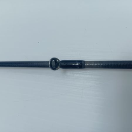 DAIWA ダイワ シーバスロッド  スカイハイ 96ML  05801184