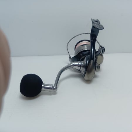 DAIWA ダイワ スピニングリール 306655