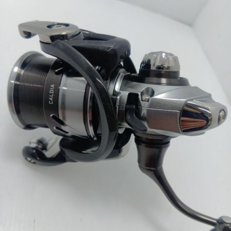 DAIWA ダイワ 18カルディア LT1000S-P 056035