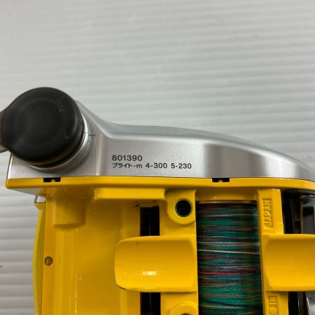 σσ DAIWA ダイワ 電動リール08シーボーグ 300MT メガツイン  801390