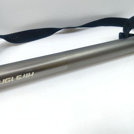 第一精工 ギャフ 第一精工 オートキングギャフ小継5.4H 