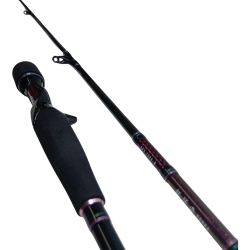 DAIWA ダイワ 釣り用品 ロッド タイラバロッド 紅牙 AGS タイプN N73HB-メタル 程度B Bランク