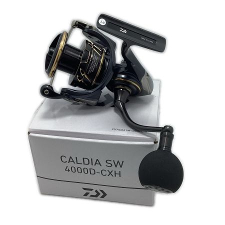 DAIWA ダイワ 22カルディアSW 4000D-CXH 00065049