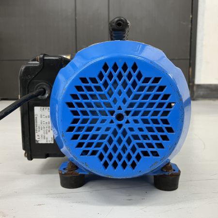 ЗЗ 丸山製作所 MARUYAMA 100v エアコン洗浄機 ノズル ホース ケース付 MSW-029M-AC-1 ブルー