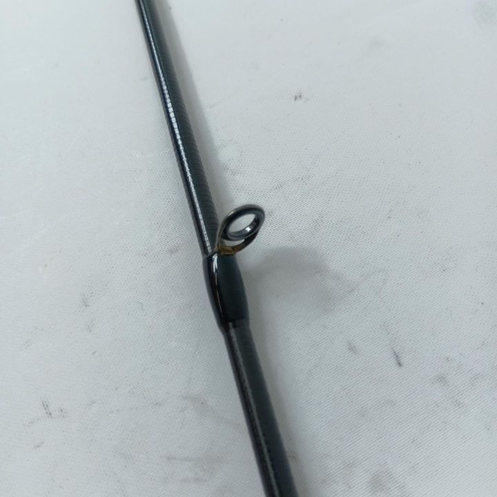 Abu Garcia アブガルシア シーバスロッド ソルティーステージ