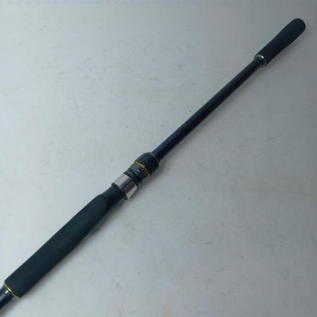 SHIMANO シマノ シーバスロッド 24ネッサSS S106M/MH 358363 竿袋付