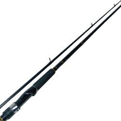 DAIWA ダイワ シーバスロッド シーバスハンターX 100M・R 05800078 本体のみ Bランク