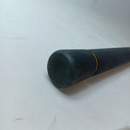 DAIWA ダイワ シーバスロッド シーバスハンターX 100M・R 05800078 本体のみ