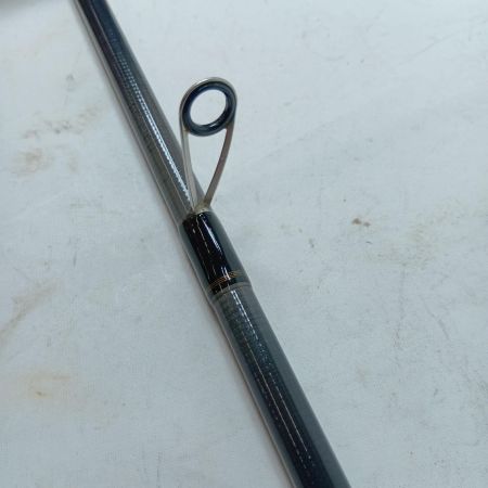 DAIWA ダイワ シーバスロッド シーバスハンターX 100M・R 05800078 本体のみ