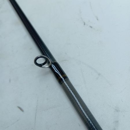 DAIWA ダイワ シーバスロッド シーバスハンターX 100M・R 05800078 本体のみ
