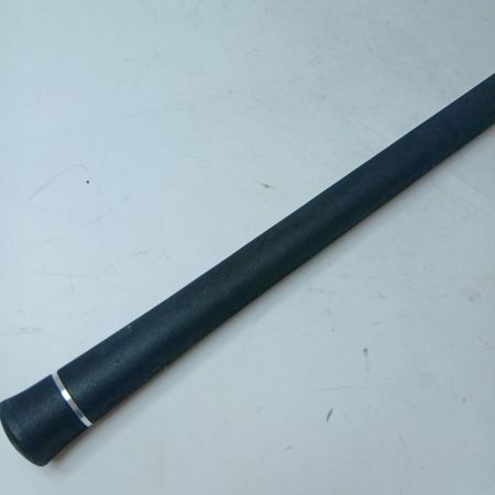 TENRYU CO. 天龍 シーバスロッド スワット  SW97ML 竿袋付