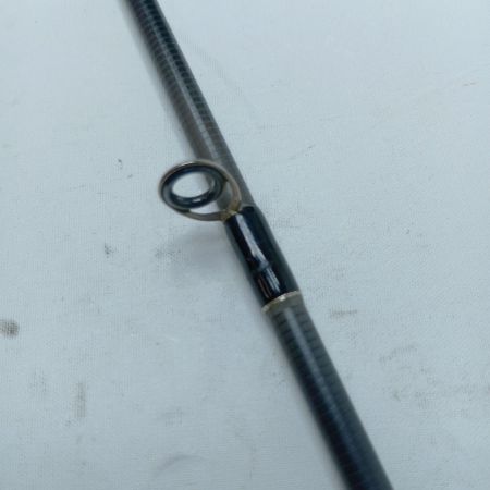 TENRYU CO. 天龍 シーバスロッド スワット  SW97ML 竿袋付