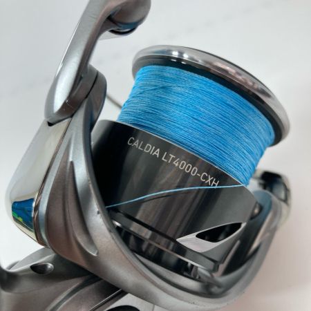 DAIWA ダイワ スピニングリール 25カルディア LT4000-CXH 00060412 (442537)