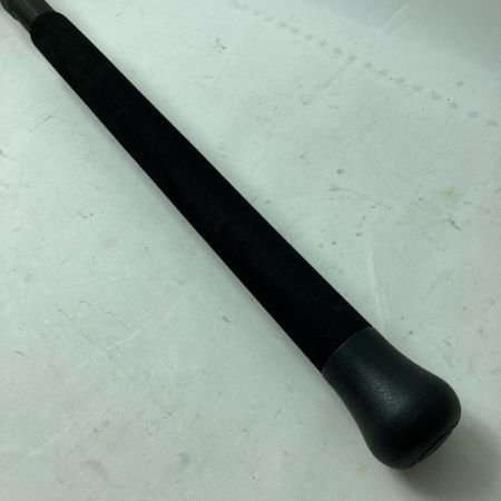 SAURUS ザウルス シーバスロッド ソルトウォータースポーツマン Blut 96 竿袋付