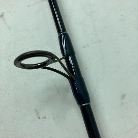 SAURUS ザウルス シーバスロッド ソルトウォータースポーツマン Blut 96 竿袋付