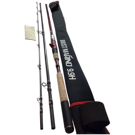 Fishman フィッシュマン シーバスロッド ブリスト マリノ 9.9H 竿袋付