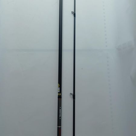 TENRYU CO. 天龍 シーバスロッド スワット SW97ML 竿袋付